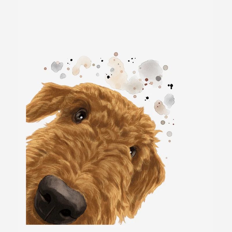 Airedale Terrier Dog