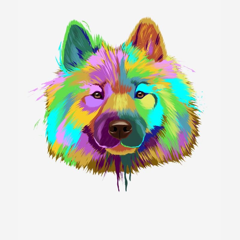 Splash Eurasier Dog