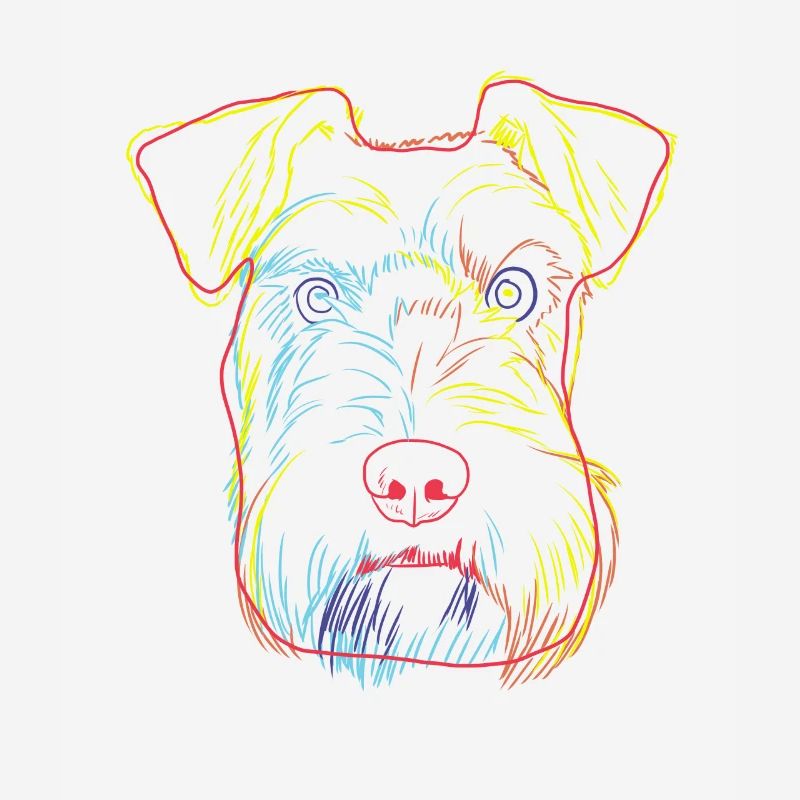 Colourful Schnauzer Dog