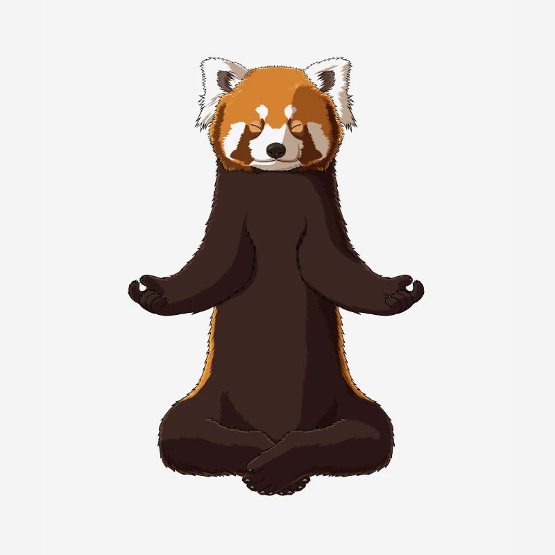 Meditate Red Panda