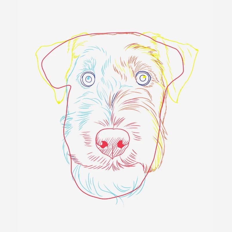 Strokes Welsh Terrier chien