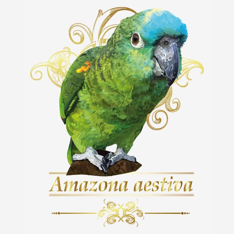 Amazone à front bleu