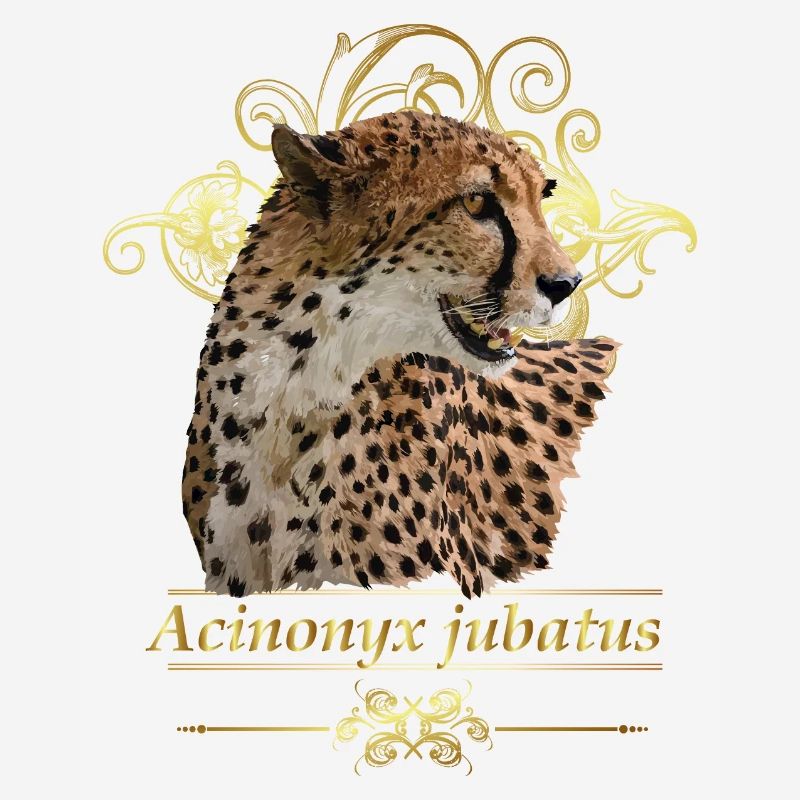 Guépard