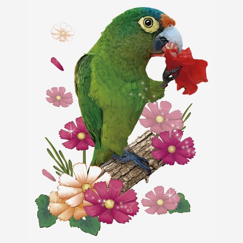 La perruche à front orange