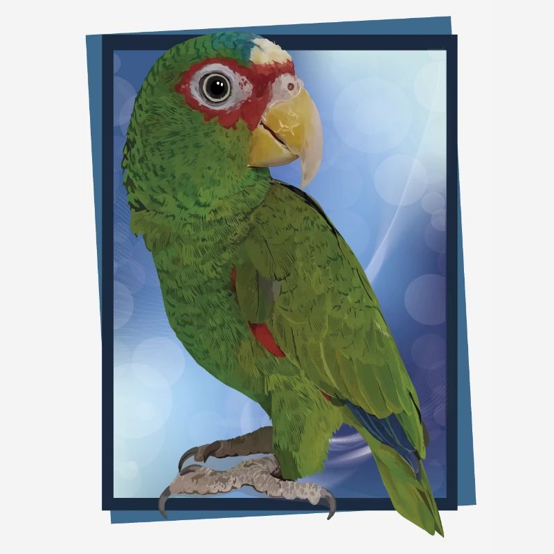 Perroquet à front blanc