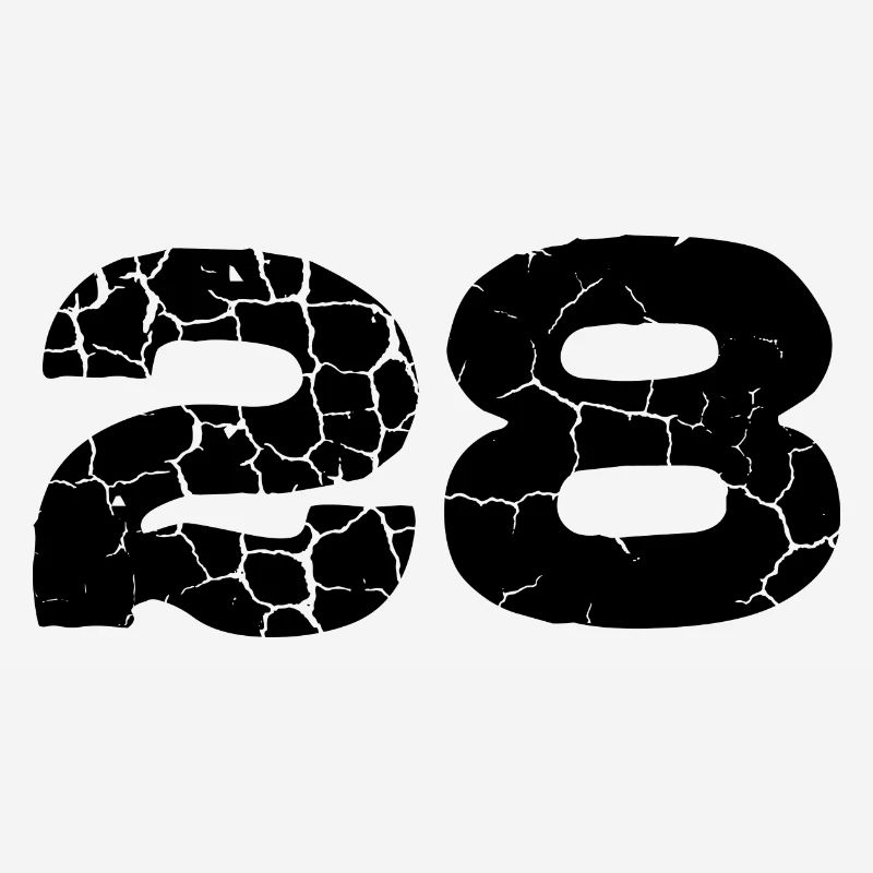Maillot numéro 28