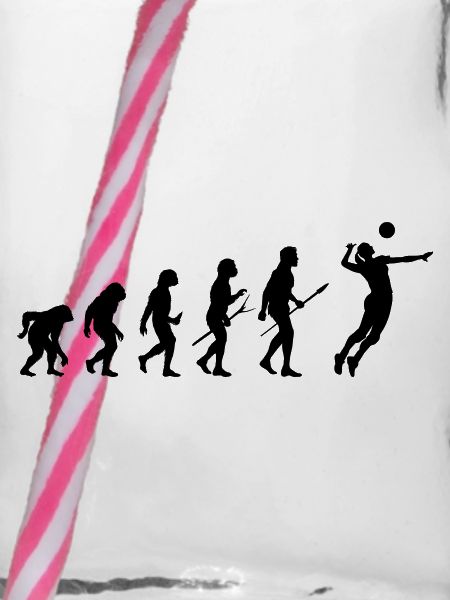 volleyball evolution