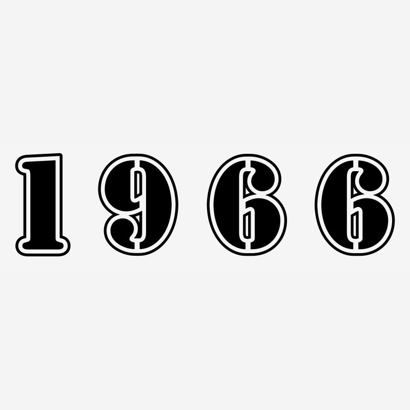 1966 year birthday