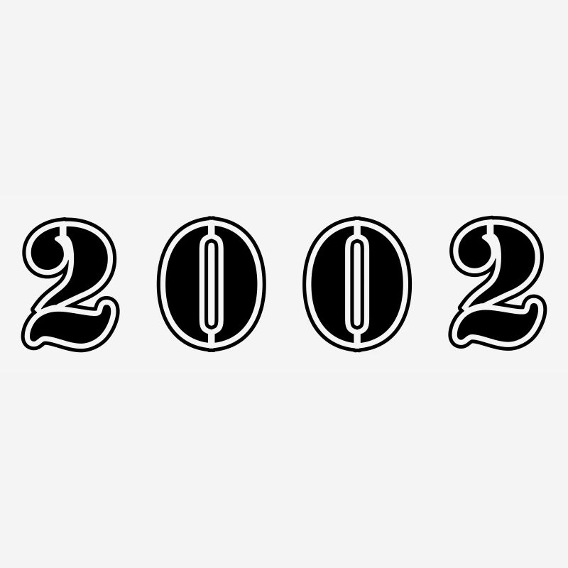 2002 year birthday