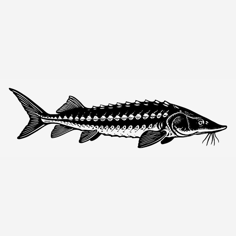 Target Fish Sturgeon - Fish - Angler Gift
