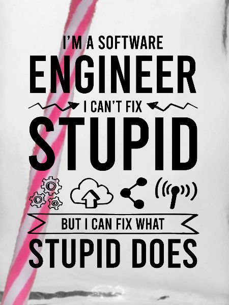 software ingenieur spruch