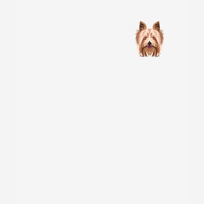 Yorkshire Terrier in der Brusttasche