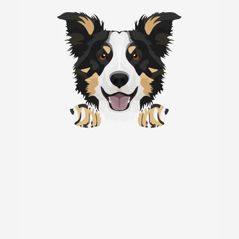 Smiling Border Collie