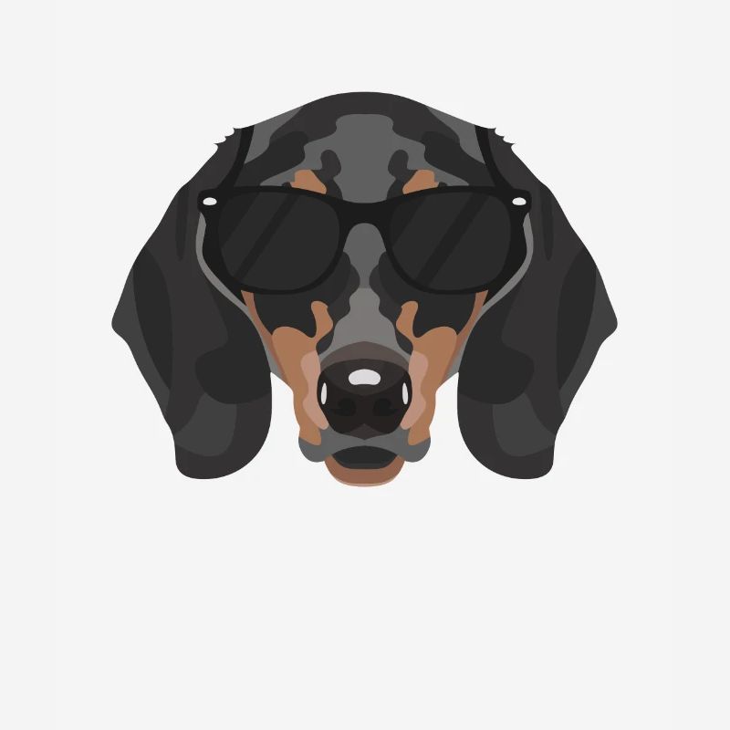 Mon teckel est le plus cool