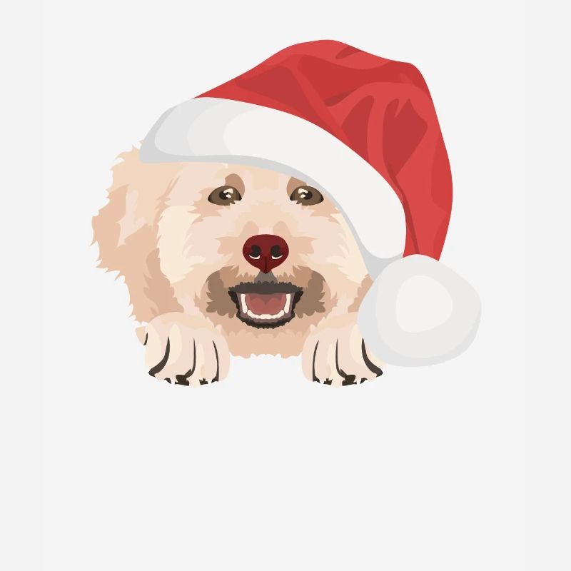 Caniche Joyeux Noël