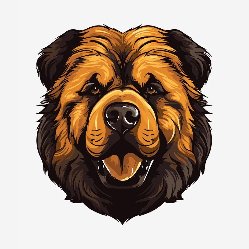 Tête de chien Chow Chow