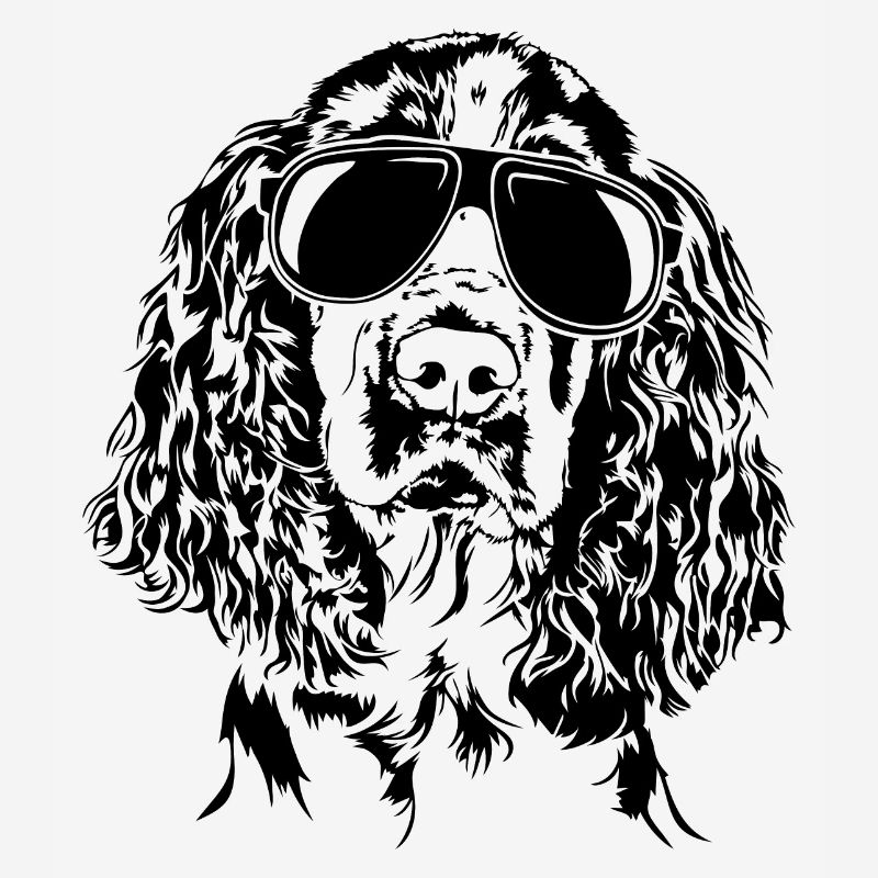 SPRINGER SPANIEL cool lunettes de soleil chiens Wilsigns