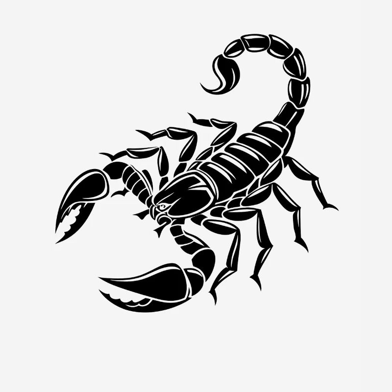 Skorpion - Giftstachel - Artenschutz - Lebensraum