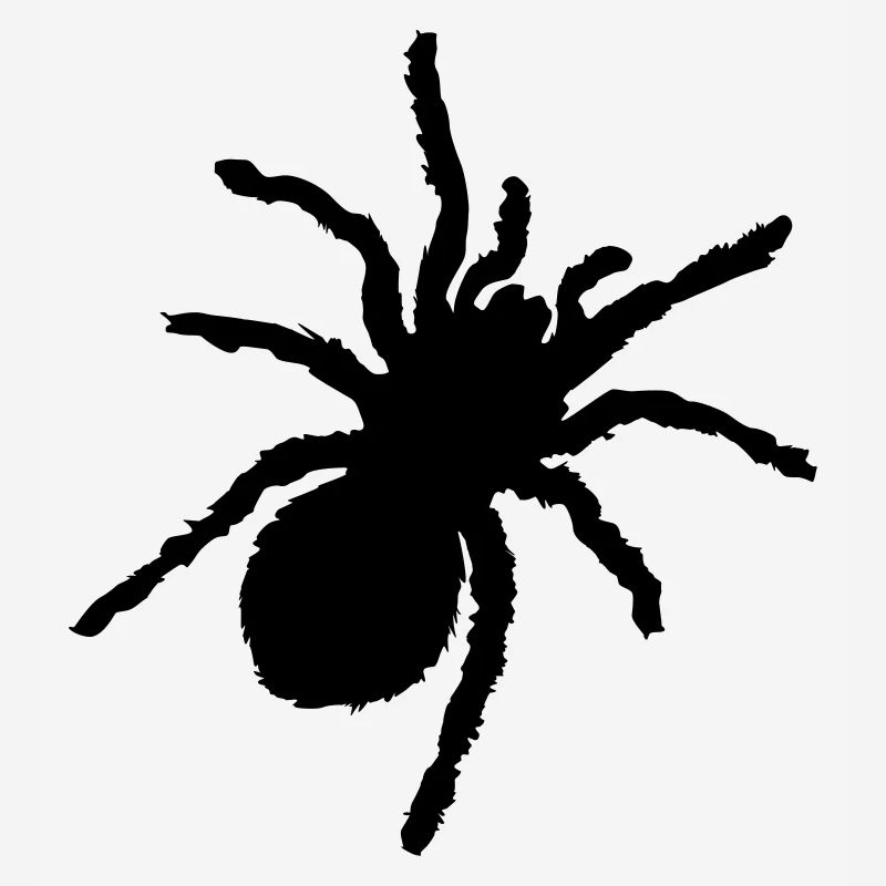 spinne silhouette