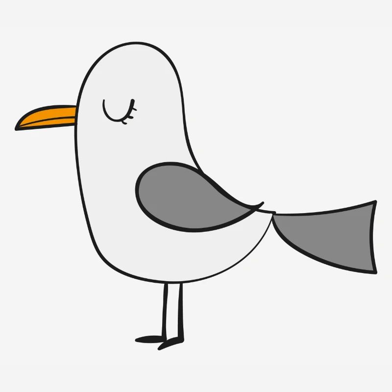 mouette