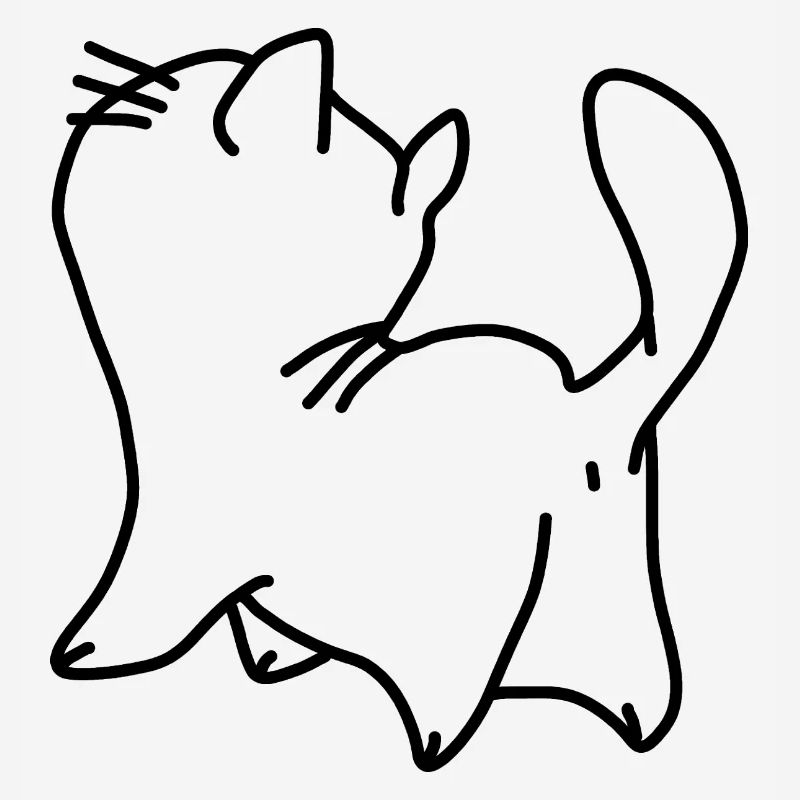 Cat kitten small