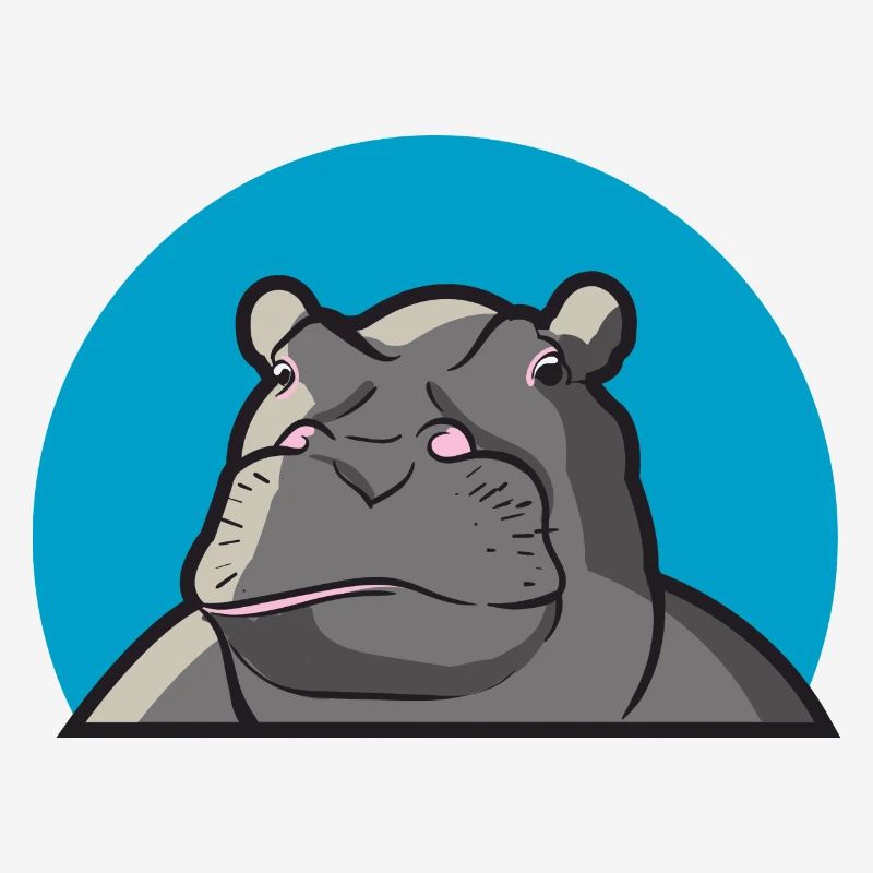 Hippopotame