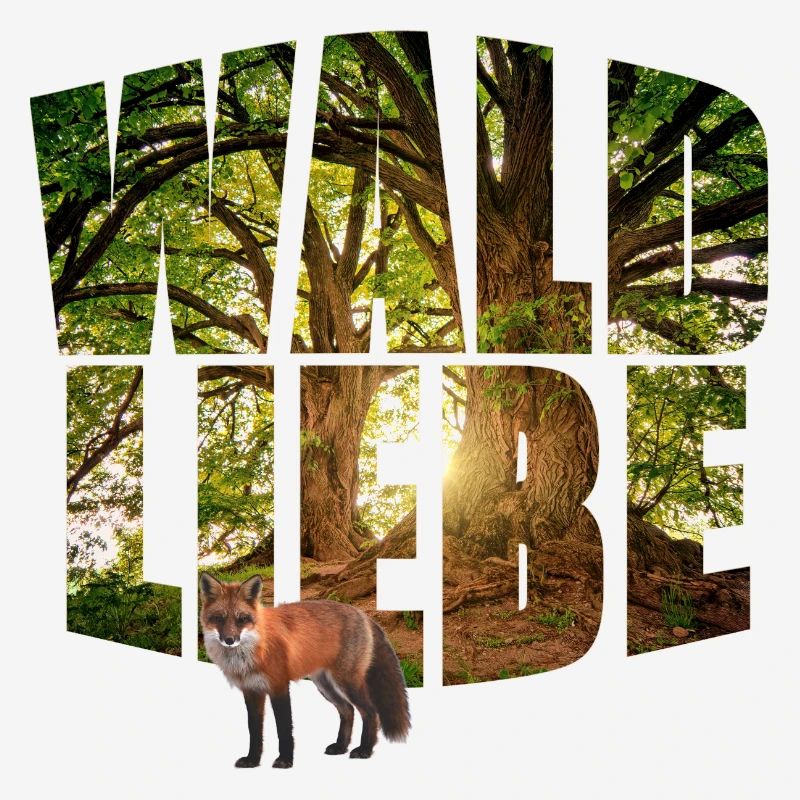 forest love with fox