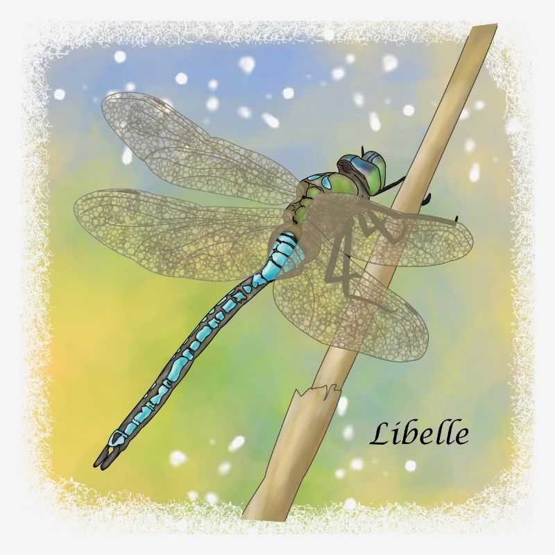 libellule