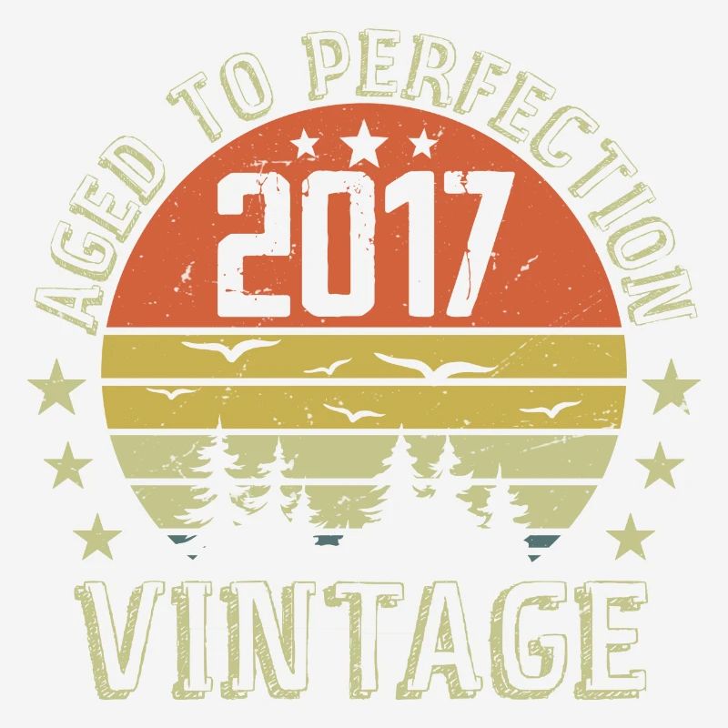 2017 Vintage Born 2017 Birthday Gift 2017
