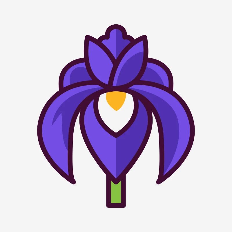 Iris barbu