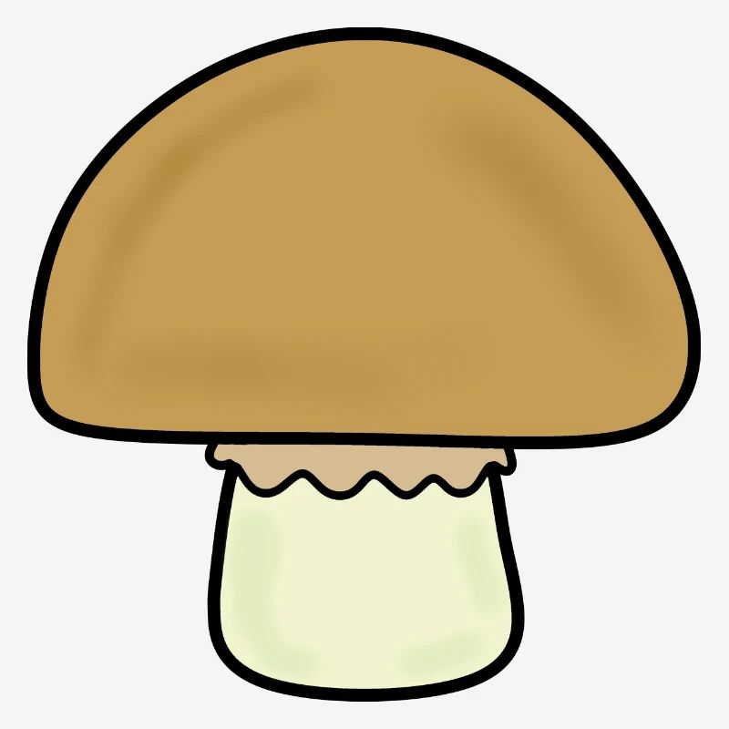 Champignon, champignons