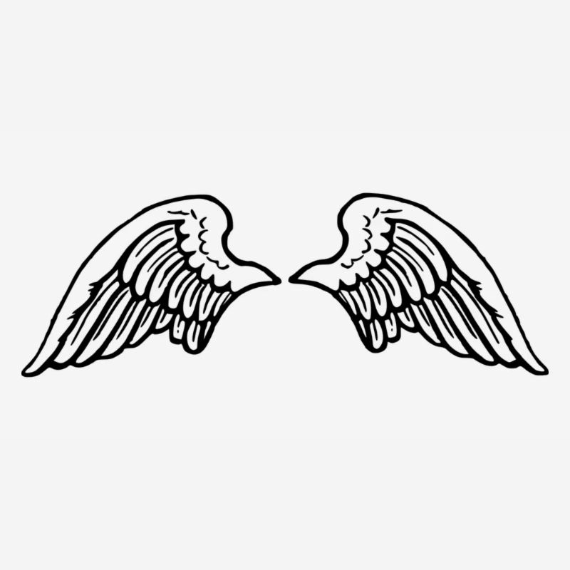 wing