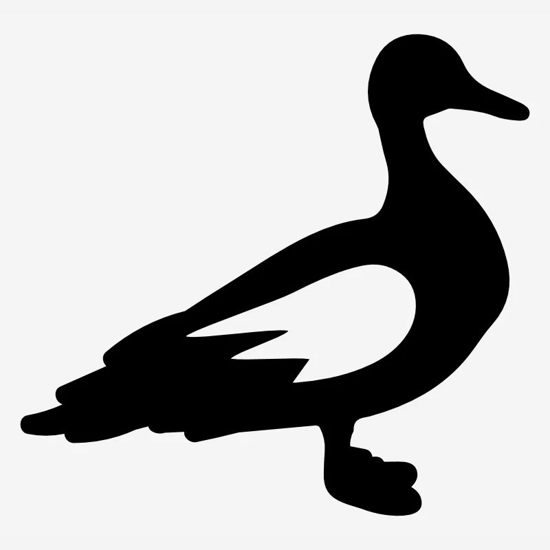 Duck Animal