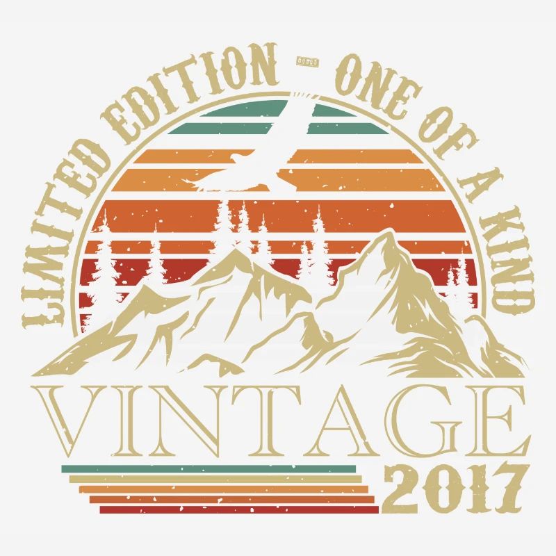 2017 Vintage Retro 2017 Jubiläumsgeschenk