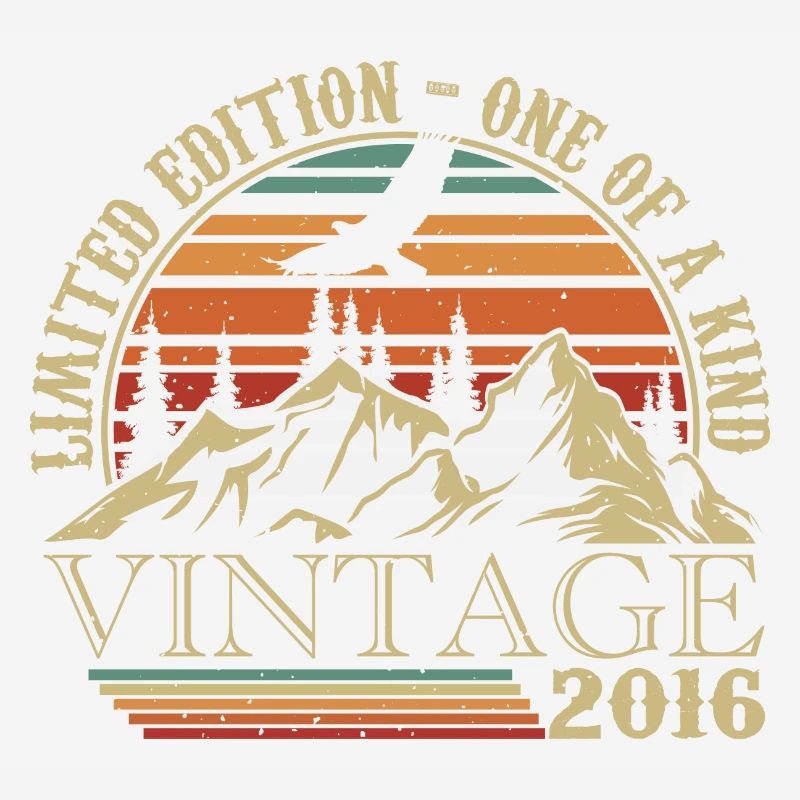 2016 Vintage Retro 2016 Anniversary Gift