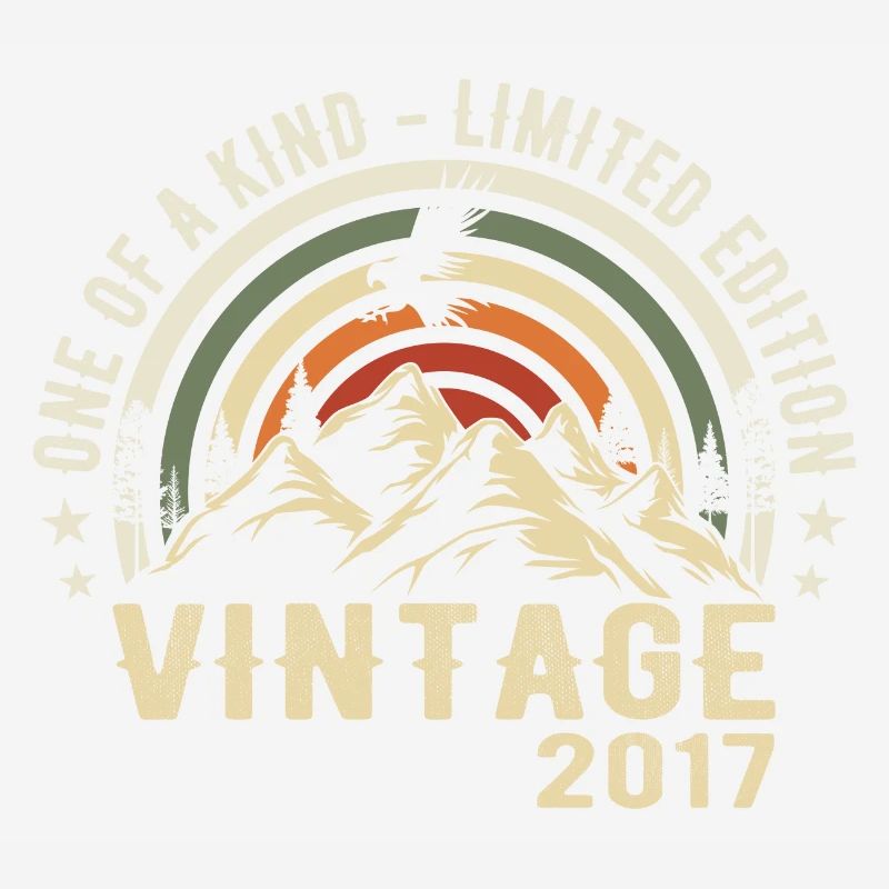 Born in 2017 Vintage 2017 Retro Birthday 2017