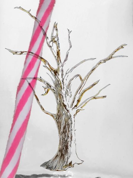 Baum