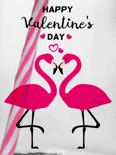Flamants roses Saint-Valentin
