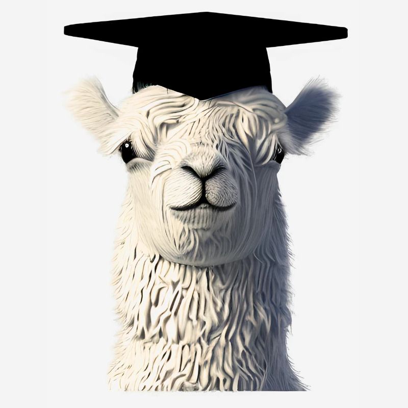 Schulabschluss Bachelor Studium Absolvent Alpaka