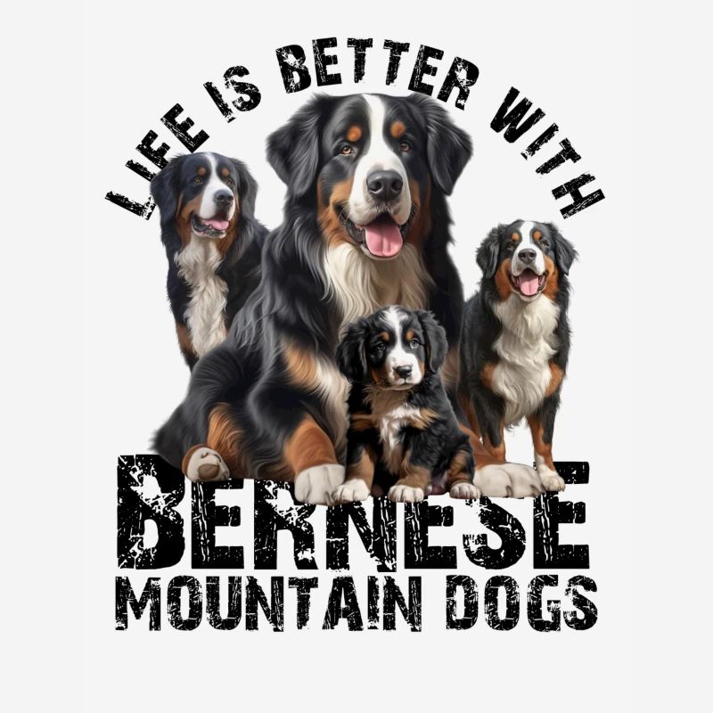 Bouvier bernois