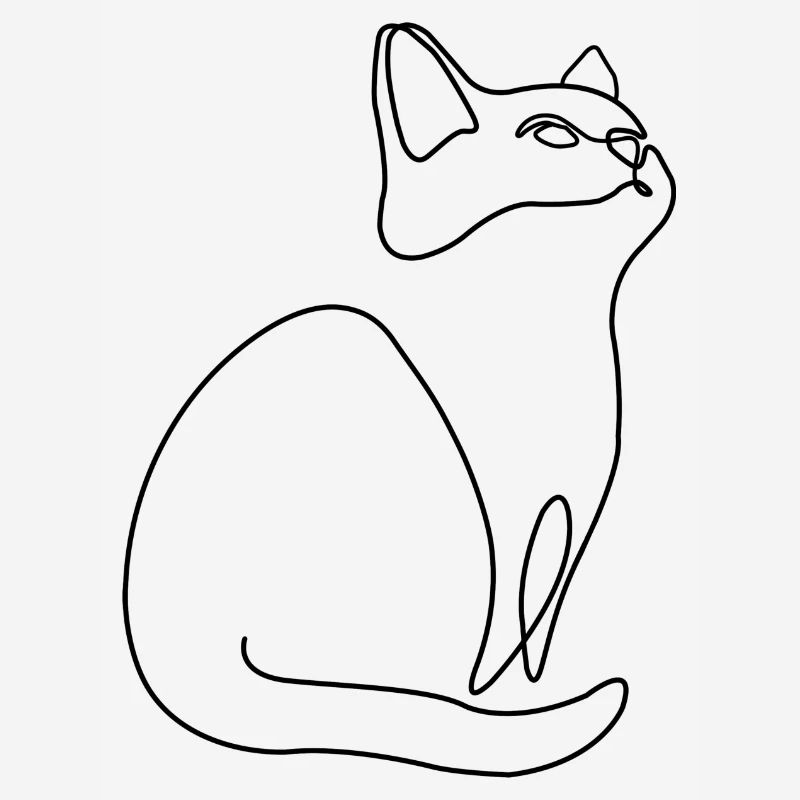 Chaton Chat Chat