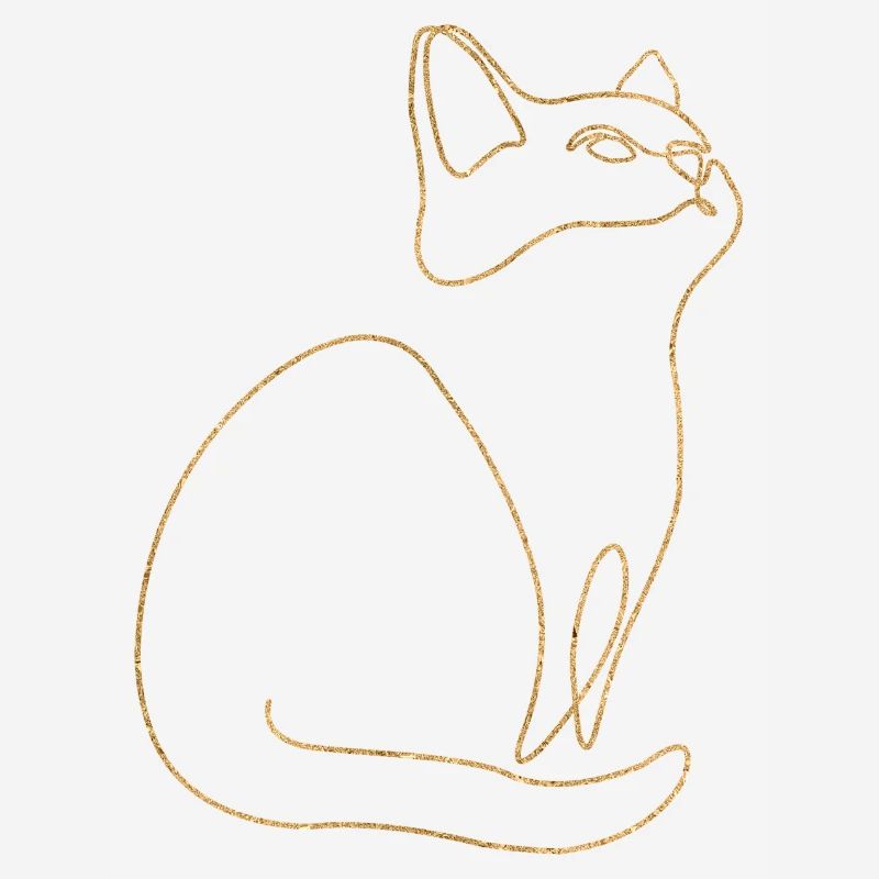 Chaton Chat Chat