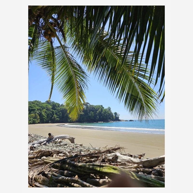 E30B78C9 5F3C 40FE A815 E6F4248A8AC0