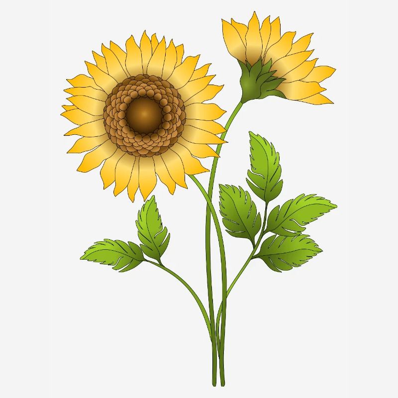 Fleur