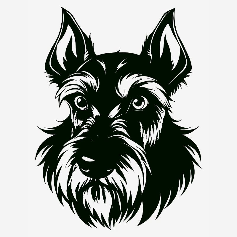 Schnauzer géant