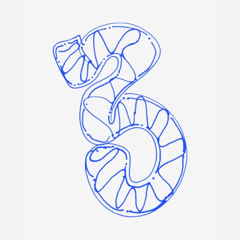 Numéro 3 préféré