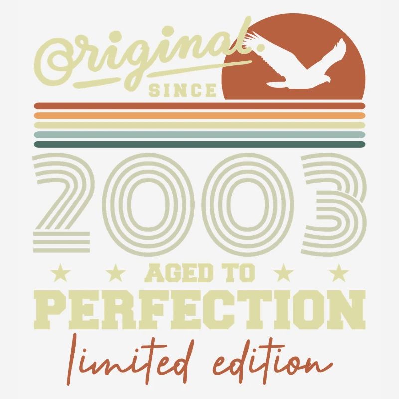 Original 2003 Retro 2003 Geburtstagsgeschenk 2003