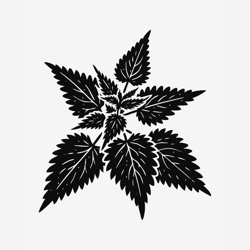 simple nettle design – wild & healing