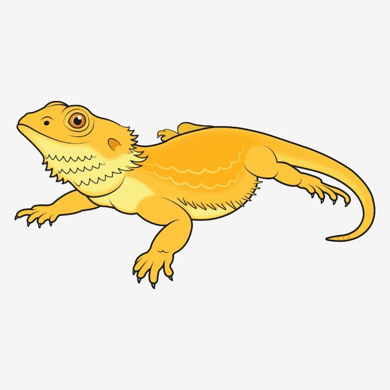 Beard agama take it easy