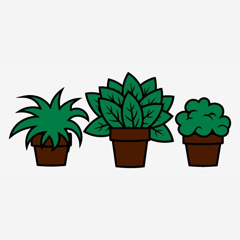 Plantes plants plan idée cadeau gift idea
